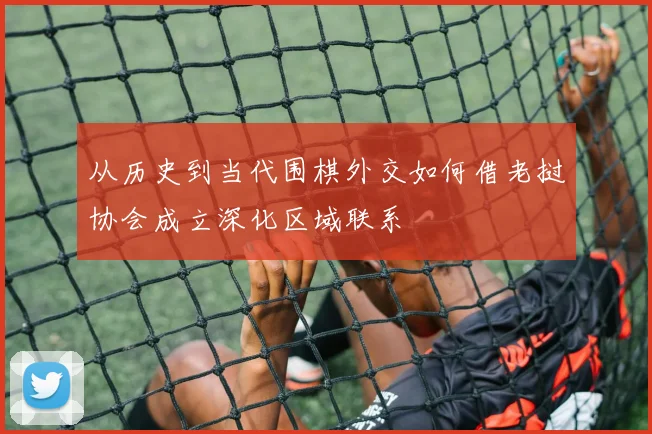 从历史到当代围棋外交如何借老挝协会成立深化区域联系