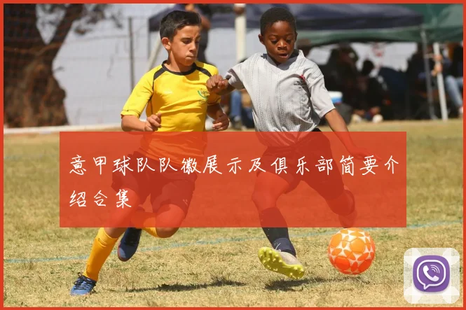 意甲球队队徽展示及俱乐部简要介绍合集